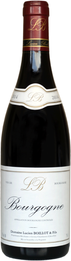 Rotweinflasche Bourgogne Pinot Noir 2018 Domaine Lucie Boillot